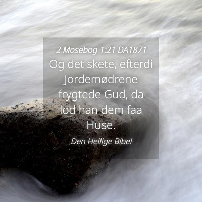 Picture 04 - 2 Mosebog 1:21 DA1871 - Og det skete, efterdi Jordemødrene frygtede Gud, - Bible Verse Picture