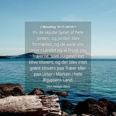 Picture 04 - 2 Mosebog 10:15 DA1871 - thi de skjulte Synet af hele Jorden, og Jorden - Bible Verse Picture