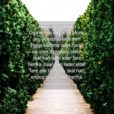 Picture 04 - 2 Mosebog 11:1 DA1871 - Og Herren sagde til Mose: Jeg vil endnu lade een - Bible Verse Picture