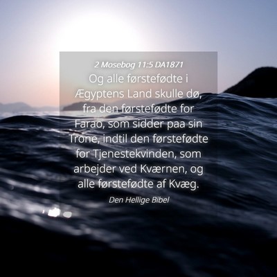 Picture 04 - 2 Mosebog 11:5 DA1871 - Og alle førstefødte i Ægyptens Land skulle - Bible Verse Picture