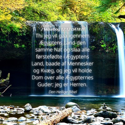 Picture 04 - 2 Mosebog 12:12 DA1871 - Thi jeg vil gaa igennem Ægyptens Land den samme - Bible Verse Picture