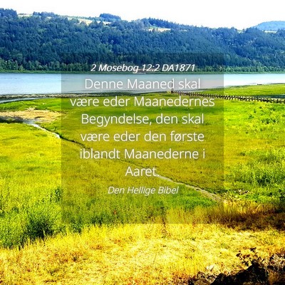 Picture 04 - 2 Mosebog 12:2 DA1871 - Denne Maaned skal være eder Maanedernes - Bible Verse Picture