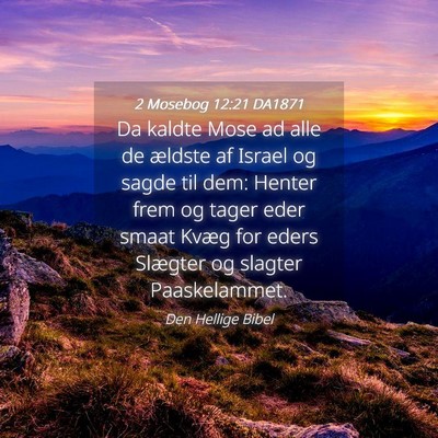 Picture 04 - 2 Mosebog 12:21 DA1871 - Da kaldte Mose ad alle de ældste af Israel og - Bible Verse Picture