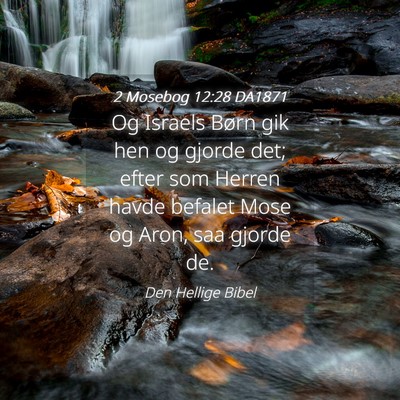 Picture 04 - 2 Mosebog 12:28 DA1871 - Og Israels Børn gik hen og gjorde det; efter som - Bible Verse Picture