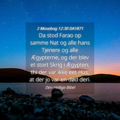 Picture 04 - 2 Mosebog 12:30 DA1871 - Da stod Farao op samme Nat og alle hans Tjenere - Bible Verse Picture