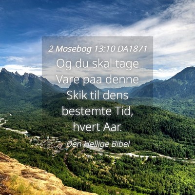 Picture 04 - 2 Mosebog 13:10 DA1871 - Og du skal tage Vare paa denne Skik til dens - Bible Verse Picture
