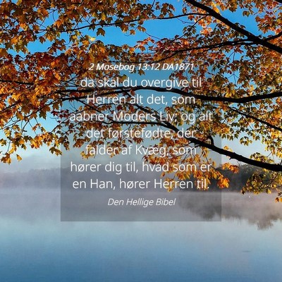 Picture 04 - 2 Mosebog 13:12 DA1871 - da skal du overgive til Herren alt det, som - Bible Verse Picture
