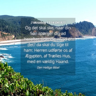 Picture 04 - 2 Mosebog 13:14 DA1871 - Og det skal ske, naar din Søn spørger dig ad - Bible Verse Picture