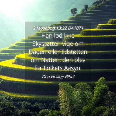 Picture 04 - 2 Mosebog 13:22 DA1871 - Han lod ikke Skystøtten vige om Dagen eller - Bible Verse Picture