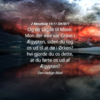 Picture 04 - 2 Mosebog 14:11 DA1871 - Og de sagde til Mose: Mon der ikke var Grave i - Bible Verse Picture