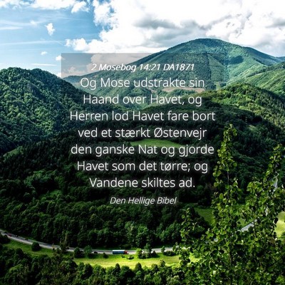 Picture 04 - 2 Mosebog 14:21 DA1871 - Og Mose udstrakte sin Haand over Havet, og Herren - Bible Verse Picture