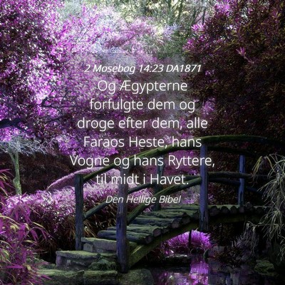 Picture 04 - 2 Mosebog 14:23 DA1871 - Og Ægypterne forfulgte dem og droge efter dem, - Bible Verse Picture