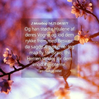 Picture 04 - 2 Mosebog 14:25 DA1871 - Og han stødte Hjulene af deres Vogne og lod dem - Bible Verse Picture