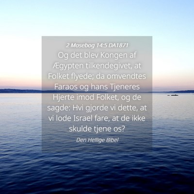 Picture 04 - 2 Mosebog 14:5 DA1871 - Og det blev Kongen af Ægypten tilkendegivet, at - Bible Verse Picture