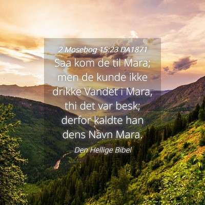 Picture 04 - 2 Mosebog 15:23 DA1871 - Saa kom de til Mara; men de kunde ikke drikke - Bible Verse Picture