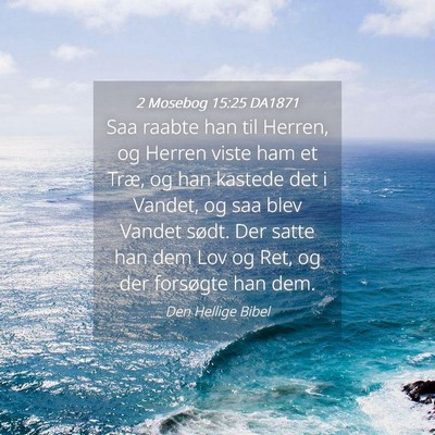 Picture 04 - 2 Mosebog 15:25 DA1871 - Saa raabte han til Herren, og Herren viste ham et - Bible Verse Picture