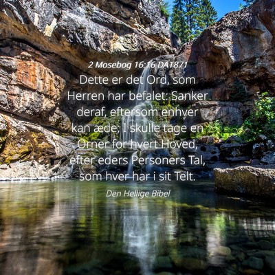 Picture 04 - 2 Mosebog 16:16 DA1871 - Dette er det Ord, som Herren har befalet: Sanker - Bible Verse Picture