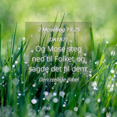 Picture 04 - 2 Mosebog 19:25 DA1871 - Og Mose steg ned til Folket og sagde det til - Bible Verse Picture