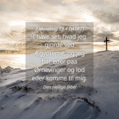 Picture 04 - 2 Mosebog 19:4 DA1871 - I have set, hvad jeg gjorde ved Ægypterne, og - Bible Verse Picture