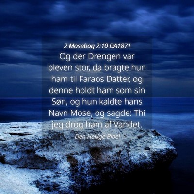 Picture 04 - 2 Mosebog 2:10 DA1871 - Og der Drengen var bleven stor, da bragte hun ham - Bible Verse Picture