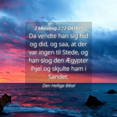 Picture 04 - 2 Mosebog 2:12 DA1871 - Da vendte han sig hid og did, og saa, at der var - Bible Verse Picture