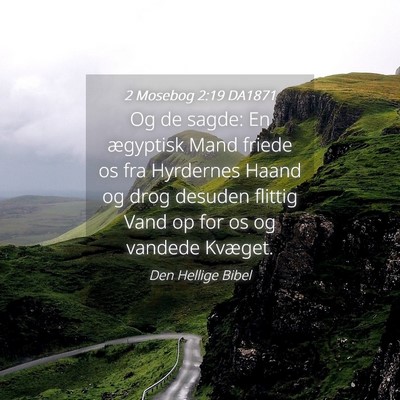 Picture 04 - 2 Mosebog 2:19 DA1871 - Og de sagde: En ægyptisk Mand friede os fra - Bible Verse Picture