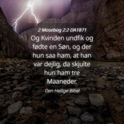 Picture 04 - 2 Mosebog 2:2 DA1871 - Og Kvinden undfik og fødte en Søn, og der hun - Bible Verse Picture