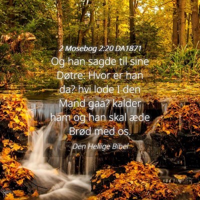 Picture 04 - 2 Mosebog 2:20 DA1871 - Og han sagde til sine Døtre: Hvor er han da? hvi - Bible Verse Picture