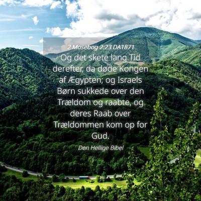 Picture 04 - 2 Mosebog 2:23 DA1871 - Og det skete lang Tid derefter, da døde Kongen - Bible Verse Picture