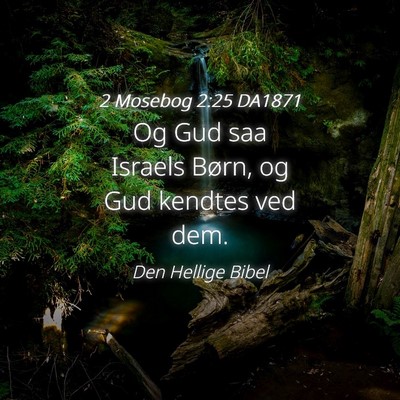 Picture 04 - 2 Mosebog 2:25 DA1871 - Og Gud saa Israels Børn, og Gud kendtes ved - Bible Verse Picture