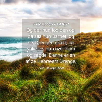 Picture 04 - 2 Mosebog 2:6 DA1871 - Og der hun lod den op, da saa hun Barnet, og se, - Bible Verse Picture