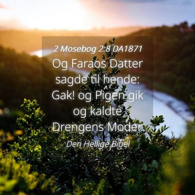 Picture 04 - 2 Mosebog 2:8 DA1871 - Og Faraos Datter sagde til hende: Gak! og Pigen - Bible Verse Picture
