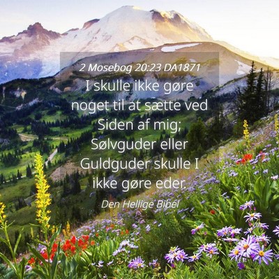 Picture 04 - 2 Mosebog 20:23 DA1871 - I skulle ikke gøre noget til at sætte ved Siden - Bible Verse Picture