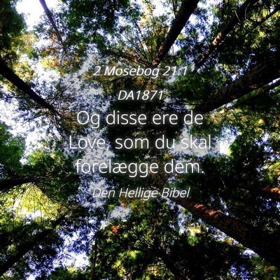 Picture 04 - 2 Mosebog 21:1 DA1871 - Og disse ere de Love, som du skal forelægge - Bible Verse Picture