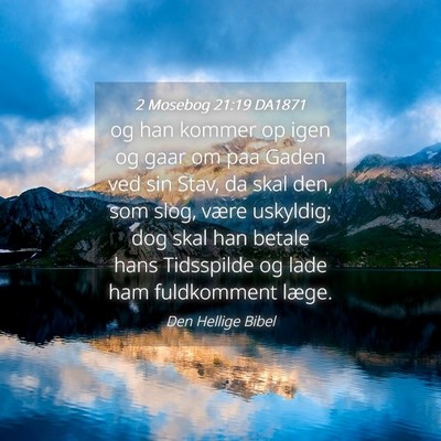 Picture 04 - 2 Mosebog 21:19 DA1871 - og han kommer op igen og gaar om paa Gaden ved - Bible Verse Picture