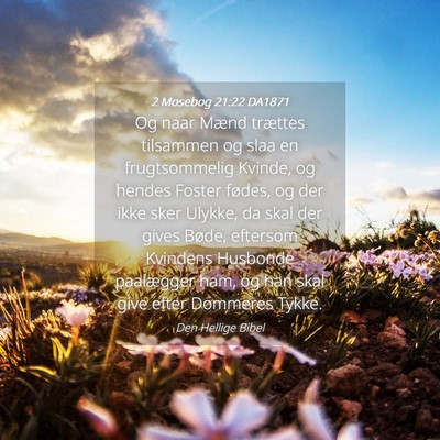 Picture 04 - 2 Mosebog 21:22 DA1871 - Og naar Mænd trættes tilsammen og slaa en - Bible Verse Picture