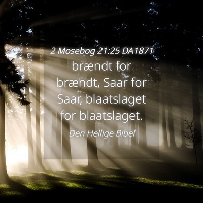 Picture 04 - 2 Mosebog 21:25 DA1871 - brændt for brændt, Saar for Saar, blaatslaget - Bible Verse Picture