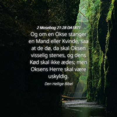 Picture 04 - 2 Mosebog 21:28 DA1871 - Og om en Okse stanger en Mand eller Kvinde, saa - Bible Verse Picture