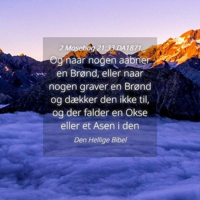 Picture 04 - 2 Mosebog 21:33 DA1871 - Og naar nogen aabner en Brønd, eller naar nogen - Bible Verse Picture