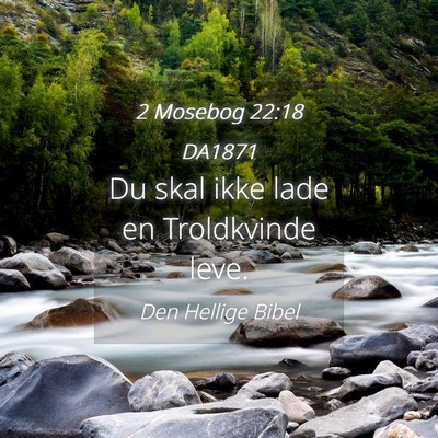 Picture 04 - 2 Mosebog 22:18 DA1871 - Du skal ikke lade en Troldkvinde - Bible Verse Picture