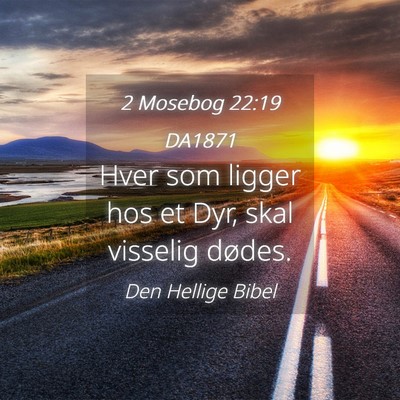 Picture 04 - 2 Mosebog 22:19 DA1871 - Hver som ligger hos et Dyr, skal visselig - Bible Verse Picture