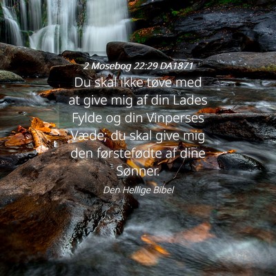 Picture 04 - 2 Mosebog 22:29 DA1871 - Du skal ikke tøve med at give mig af din Lades - Bible Verse Picture