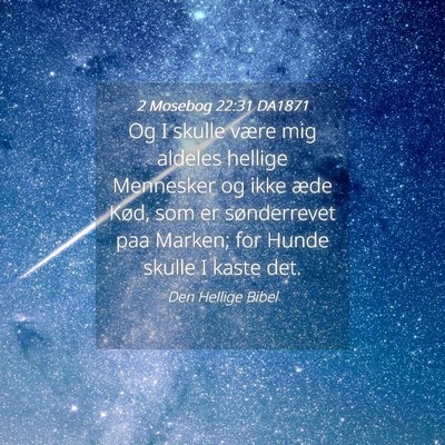 Picture 04 - 2 Mosebog 22:31 DA1871 - Og I skulle være mig aldeles hellige Mennesker - Bible Verse Picture