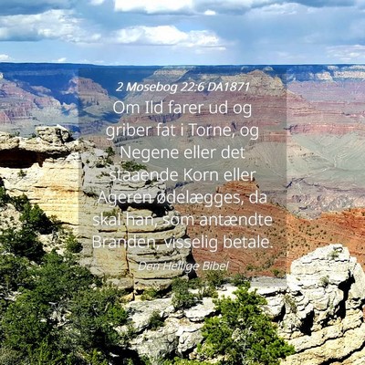 Picture 04 - 2 Mosebog 22:6 DA1871 - Om Ild farer ud og griber fat i Torne, og Negene - Bible Verse Picture