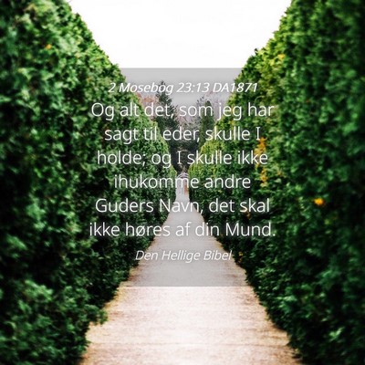 Picture 04 - 2 Mosebog 23:13 DA1871 - Og alt det, som jeg har sagt til eder, skulle I - Bible Verse Picture