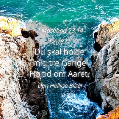 Picture 04 - 2 Mosebog 23:14 DA1871 - Du skal holde mig tre Gange Højtid om - Bible Verse Picture