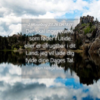 Picture 04 - 2 Mosebog 23:26 DA1871 - Der skal ingen være, som føder i Utide eller er - Bible Verse Picture
