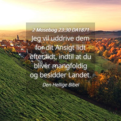 Picture 04 - 2 Mosebog 23:30 DA1871 - Jeg vil uddrive dem for dit Ansigt lidt efter - Bible Verse Picture