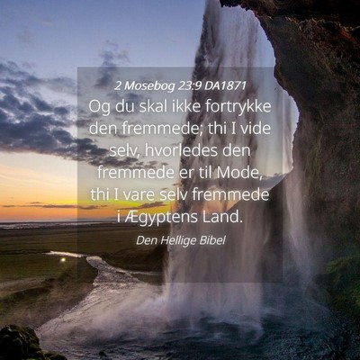 Picture 04 - 2 Mosebog 23:9 DA1871 - Og du skal ikke fortrykke den fremmede; thi I - Bible Verse Picture