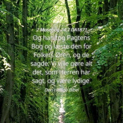 Picture 04 - 2 Mosebog 24:7 DA1871 - Og han tog Pagtens Bog og læste den for Folkets - Bible Verse Picture